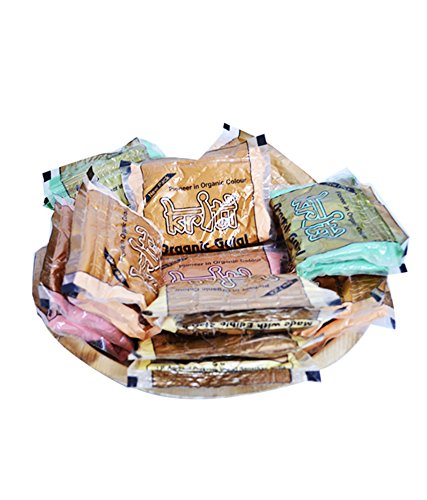 KRITI Organic Gulal 100GM (10 Pkt) with 4 Mini (15gm) Water Colours | Malti-Colour | Eco Friendly | 100% Safe Holi Colour