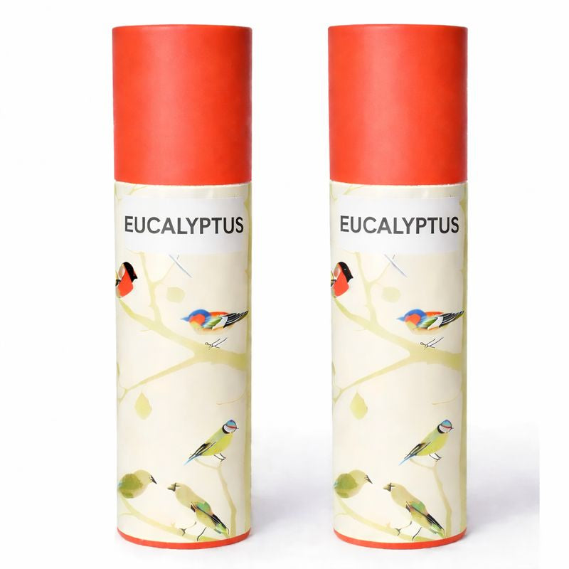 Kriti Natural  Incense Stick (New Eucalyptus) Pack of 2 (100 Pcs Each Box)