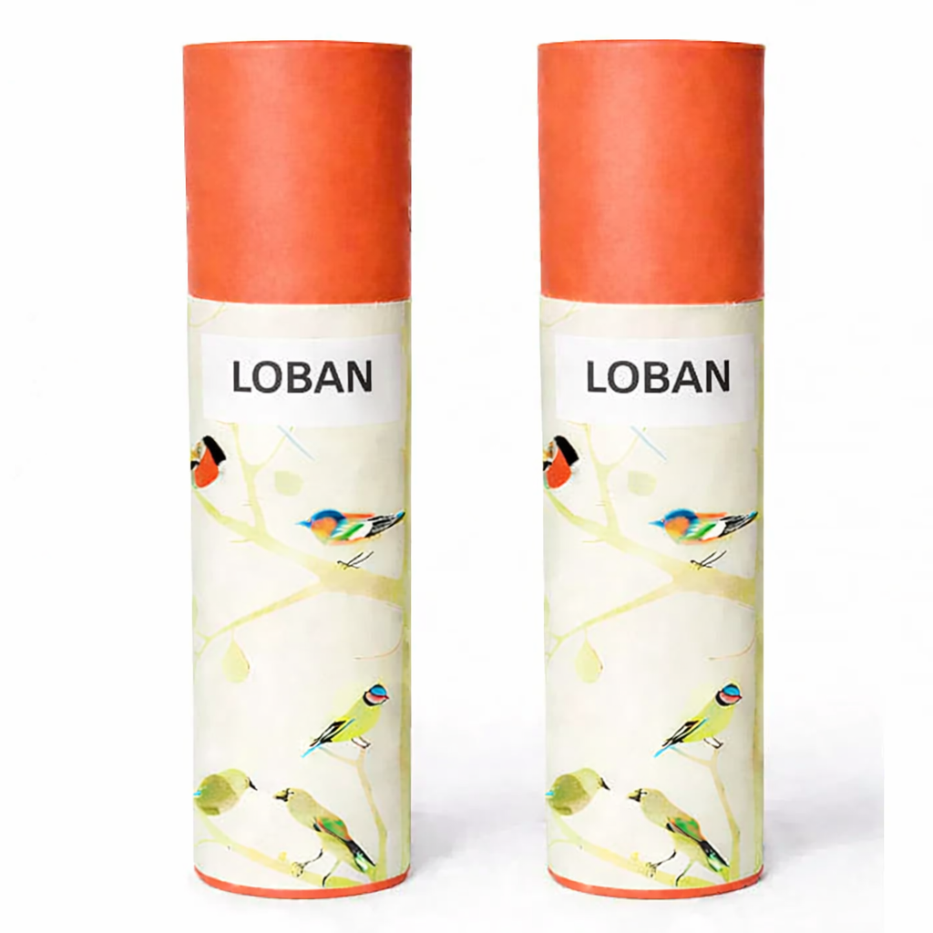Kriti Creations Natural Incense Sticks Loban Fragrance Pack of 2 100 Sticks Each Box Agarbatti for Pooja Meditation Relaxation