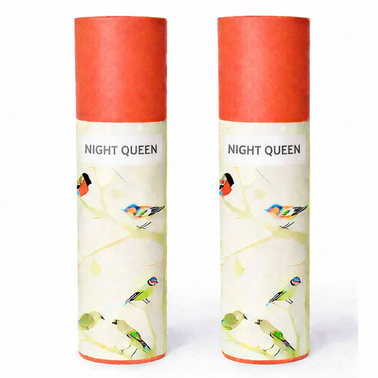 Kriti Creations Natural Incense Stick (NIGHT QUEEN) Pack of 2 (100 Pcs Each Box)