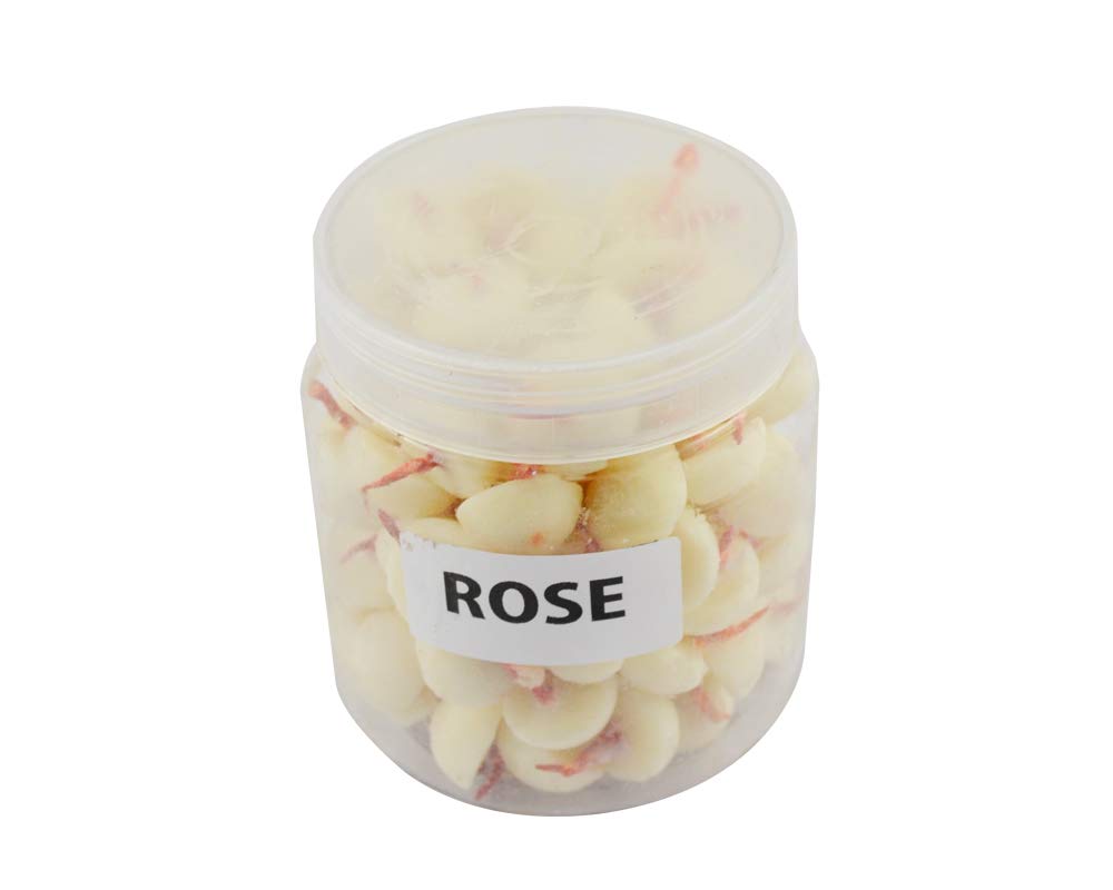 Kriti Rose Fragrance Wicks (100 Pcs in a Box)