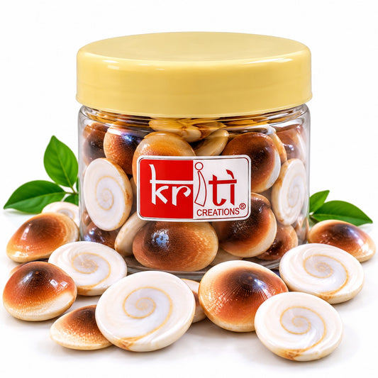 Kriti Creations Gomati Chakra for Lakshmi Puja –Original Gomti River Dwarka Shells for Wealth & Protection (11 pcs)